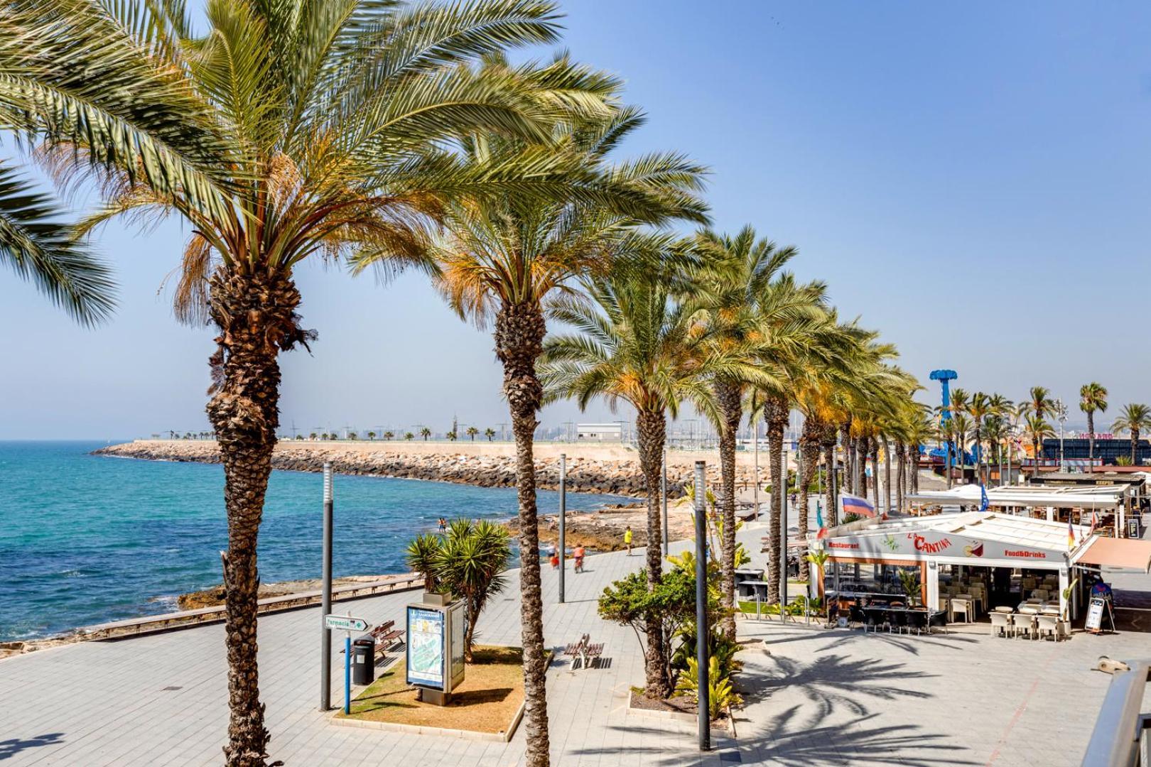 Apartament Mi Patio Torrevieja Zewnętrze zdjęcie